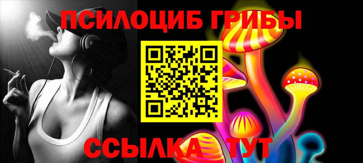Псилоцибиновые грибы Cubensis Коряжма